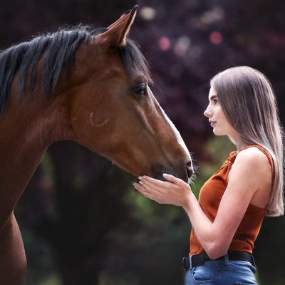 Fotoshooting / Tierfotografin für Pferde