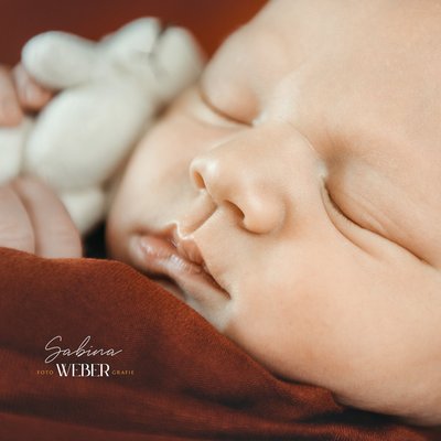 Fotoshooting / Fotografin für Familie & Newborn, Baby, Neugeborene